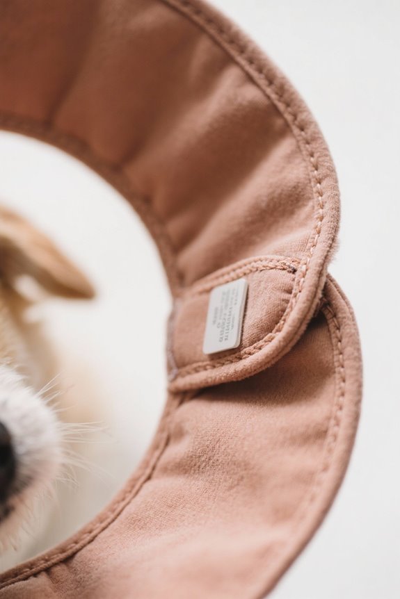 selecting a comfortable collar